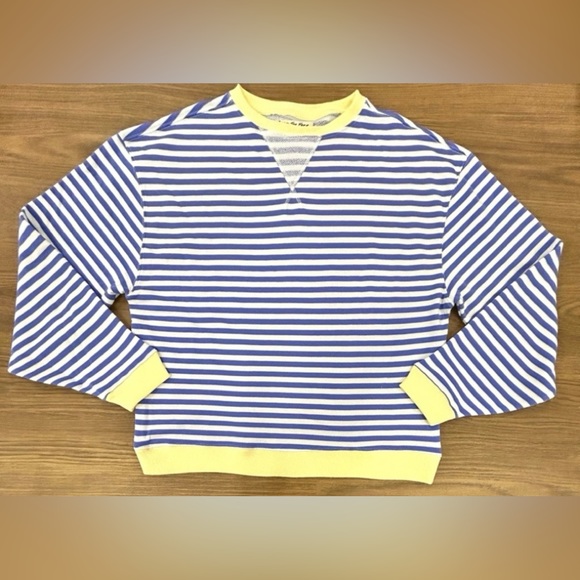 HOST PICK 🎉 NWT💙FREE PEOPLE CLASSIC STRIPE OVERSIZED CREWNECK - Picture 4 of 4